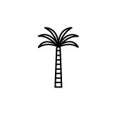 Palm Tree icon